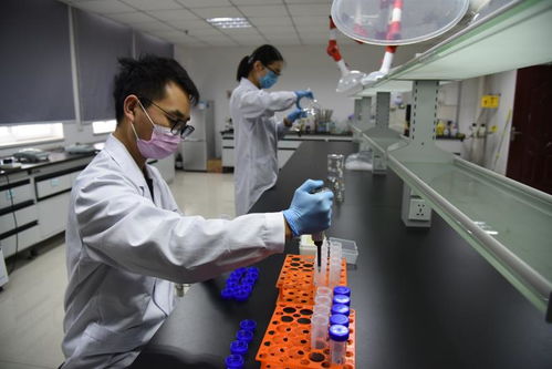 以技術(shù)為盾，護(hù)航人民健康 記開封市食藥檢驗(yàn)所的疫情逆行者